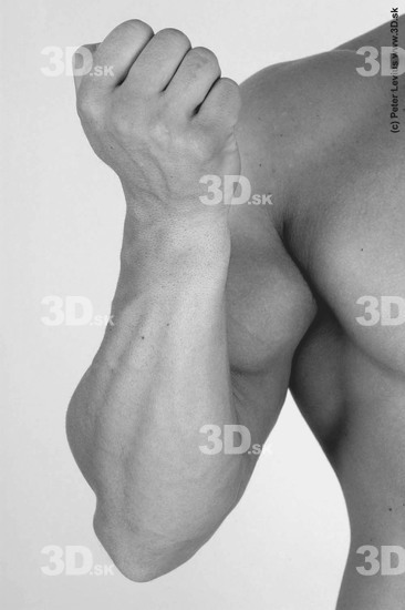Forearm Man Animation references White Nude Muscular