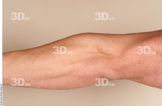 Forearm Man White Nude Muscular