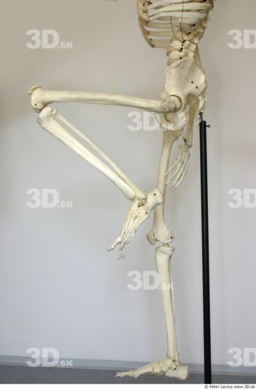 Leg Skeleton Animation references