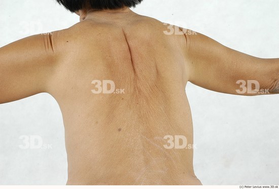 and more Whole Body Back Woman Asian Nude Slim Average Studio photo references