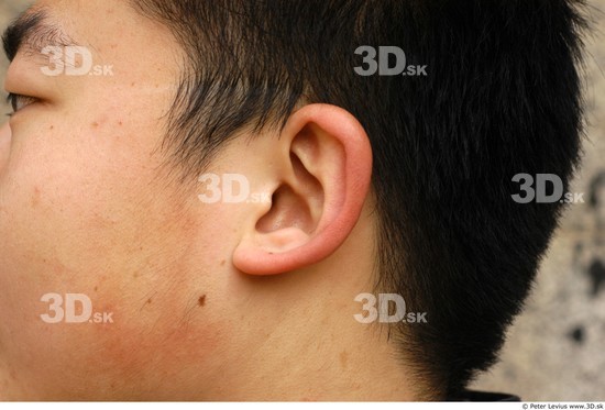 Ear Man Asian Average