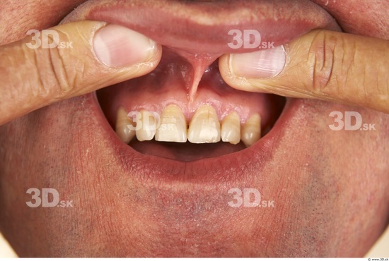 Whole Body Teeth Man Muscular Average Studio photo references