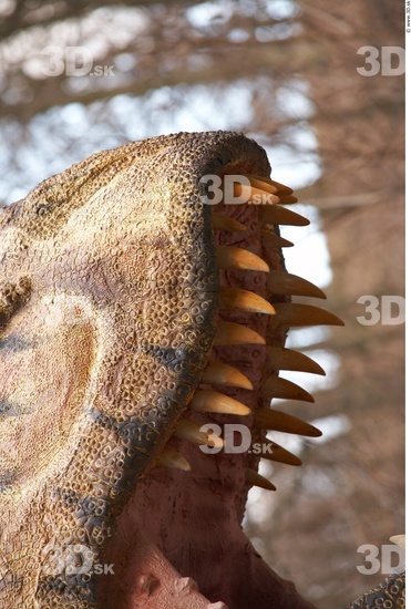 Teeth Dinosaurus-Thyranosaurus