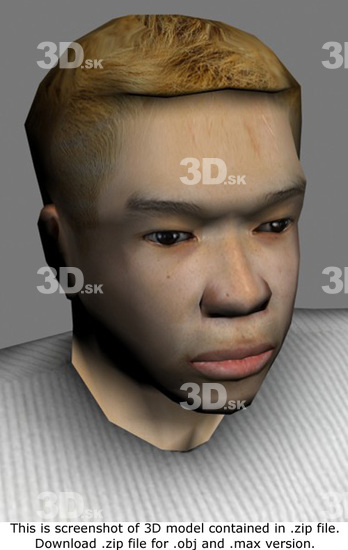 Head Man Asian Casual Average 3D Models