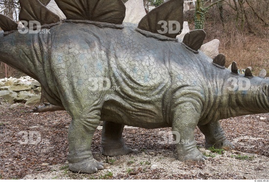 Chest Whole Body Dinosaurus-Stegosaurus Animal photo references