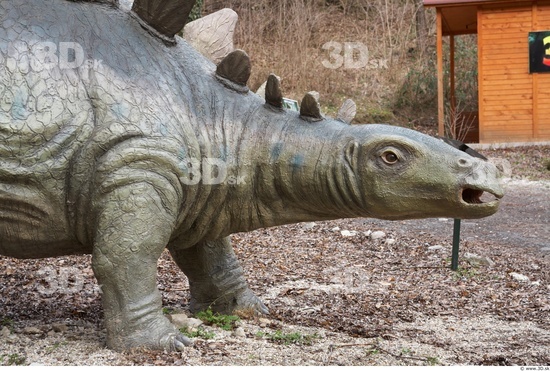 Neck Whole Body Dinosaurus-Stegosaurus Animal photo references