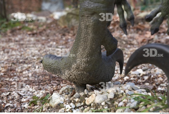 Foot Dinosaurus-Saurian