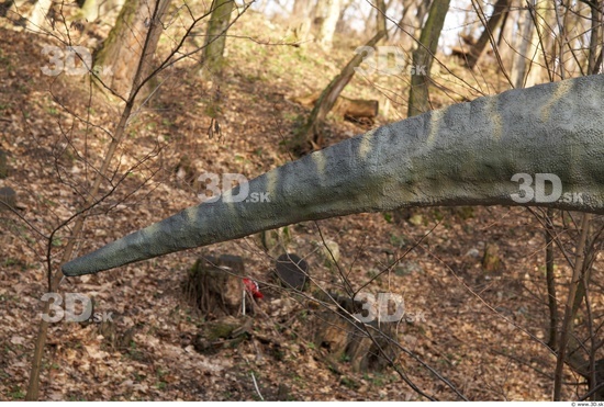 Tail Dinosaurus-Gigantosaurus