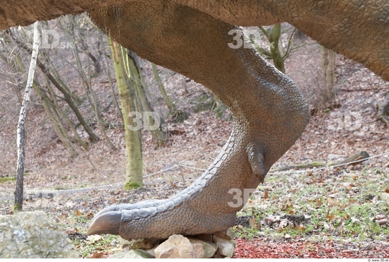 Calf Whole Body Dinosaurus-Allosaurus Animal photo references