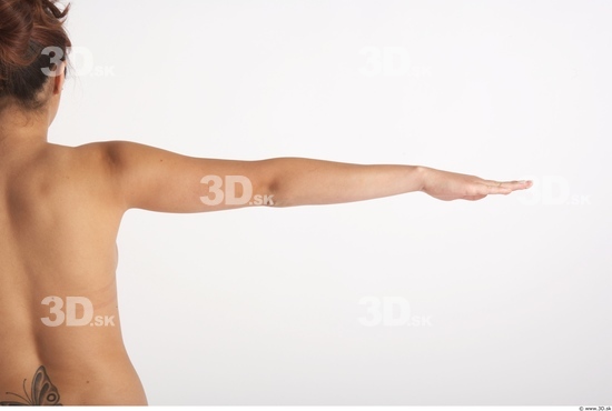 Arm Woman Animation references White Nude Slim