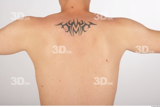 Back Man Tattoo Nude Average Studio photo references