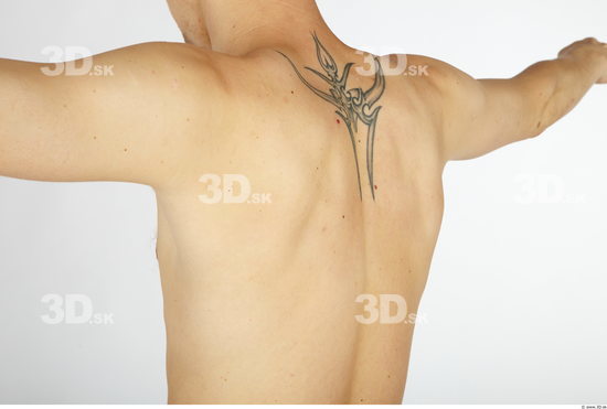 Whole Body Back Man Animation references Tattoo Nude Slim Studio photo references