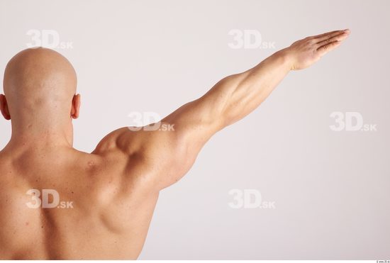 Arm Man Animation references White Nude Muscular