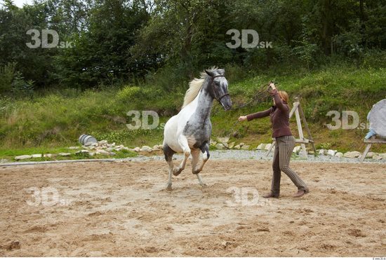 Saratoga NY engagement photography with horses | Showit Blog