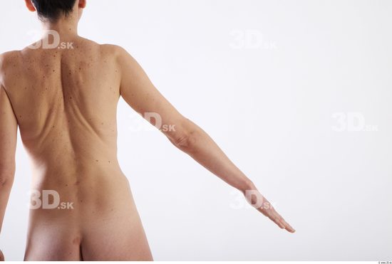 Arm Woman Animation references White Nude Slim