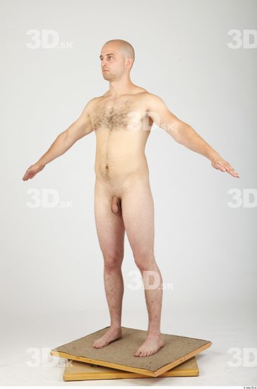 Whole Body Man Animation references Hairy Nude Casual Average Studio photo references