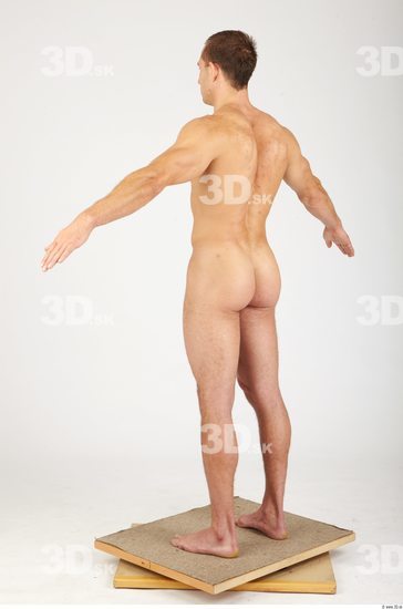 Whole Body Man Animation references Nude Sports Athletic Studio photo references