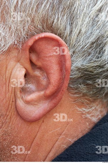 Ear Head Man Average Overweight Street photo references