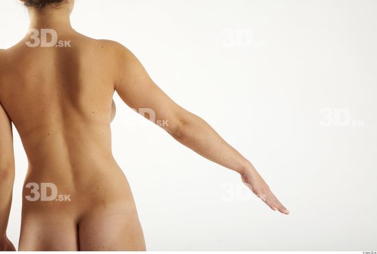 Arm Woman Animation references White Nude Slim