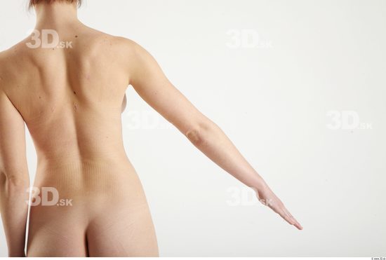 Arm Woman Animation references White Nude Slim