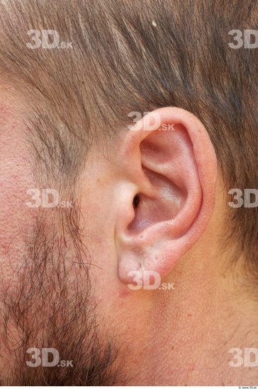 Ear Man White Average