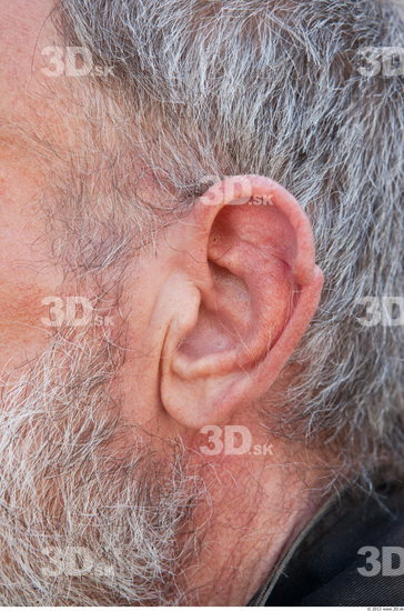 Ear Man White Average