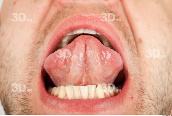 Whole Body Tongue Man Casual Average Studio photo references