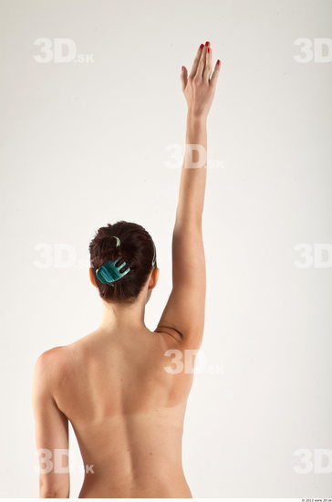 Arm Woman Animation references White Nude Slim