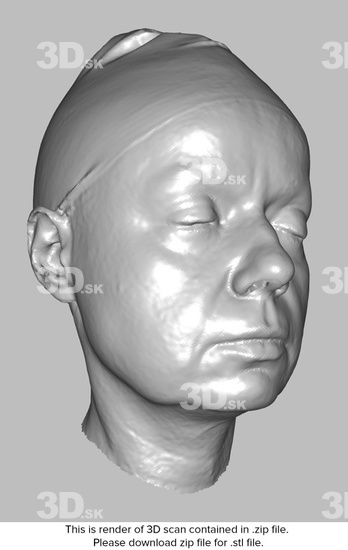 Head Woman White 3D Scans