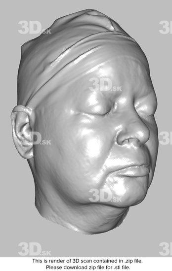 Head Woman White 3D Scans