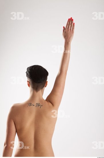 Arm Woman Animation references White Nude Slim