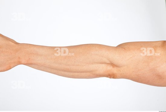 Forearm Man White Nude Muscular