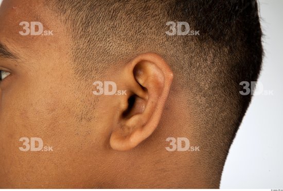 Ear Black Studio photo references