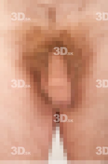 Penis Man Hairy Nude Average Studio photo references