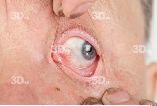 Eye Overweight Wrinkles Studio photo references