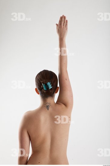 Arm Woman Animation references White Nude Slim