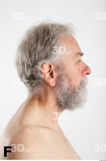 Head Phonemes Man White Average Bearded