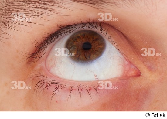  HD Eyes Nigel eye eyebrow eyelash iris pupil skin texture 0001.jpg