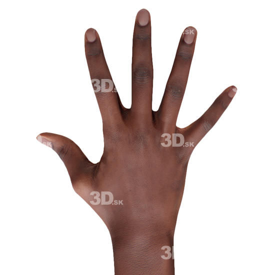 Shamone Glenn Retopo Hand Scan