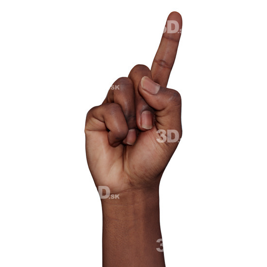 Hand Man Black 3D Raw Hand Scans