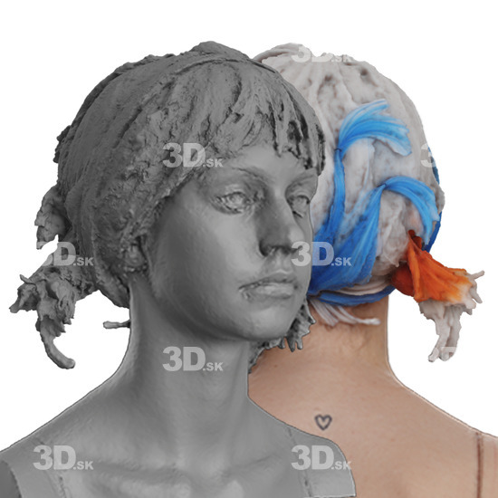 Head Woman White 3D Groom Raw