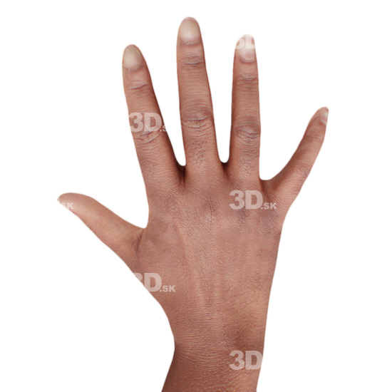 Hand Woman Black 3D Retopologised Hands