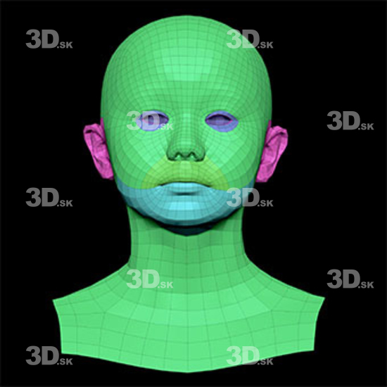 retopologized 3D head scan of kure orime main subdiv