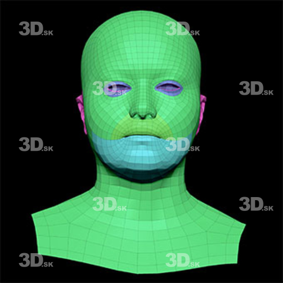 Retopologized 3D Head scan of Rene Correa main subdiv