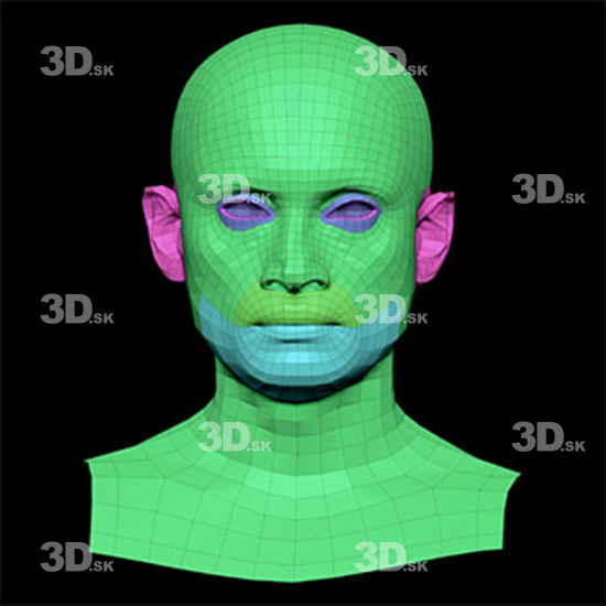 Retopologized 3D Head scan of Tranggono Tao main subdiv