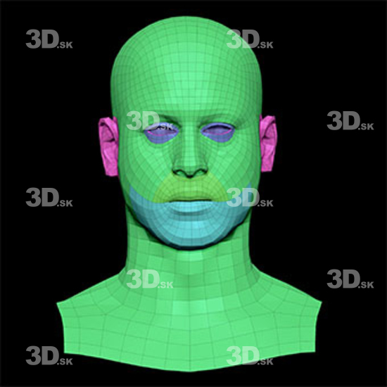 Retopologized 3D Head scan of Malachi Sugihen main subdiv