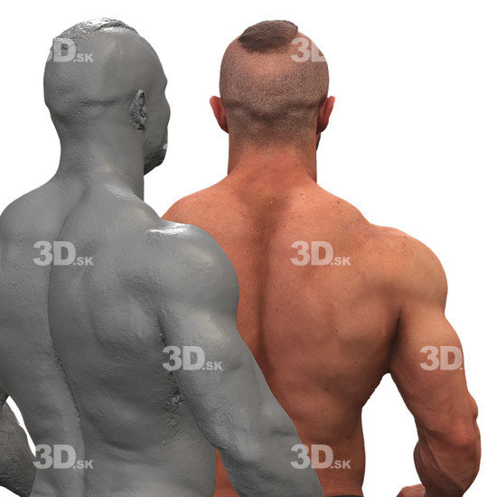 Upper Body Man White Underwear 3D Phonemes And Emotions