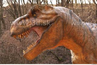 Thyranosaurus 0095