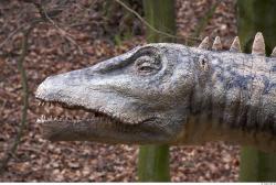 Head Dinosaurus-Diplodocus