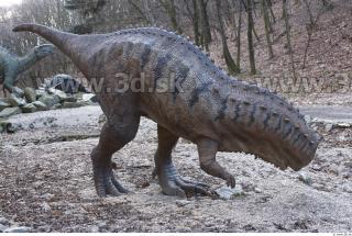 Ceratosaurus